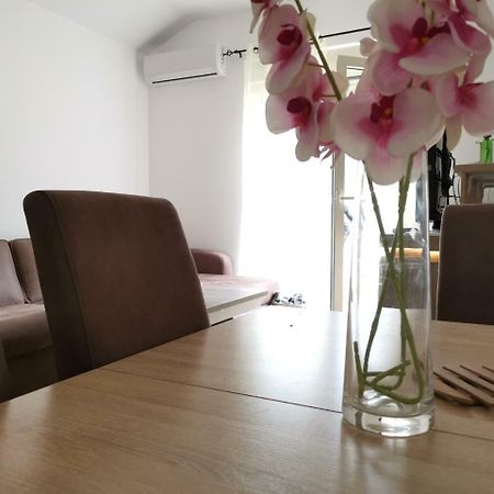 Apartman Maximus 布德瓦 外观 照片