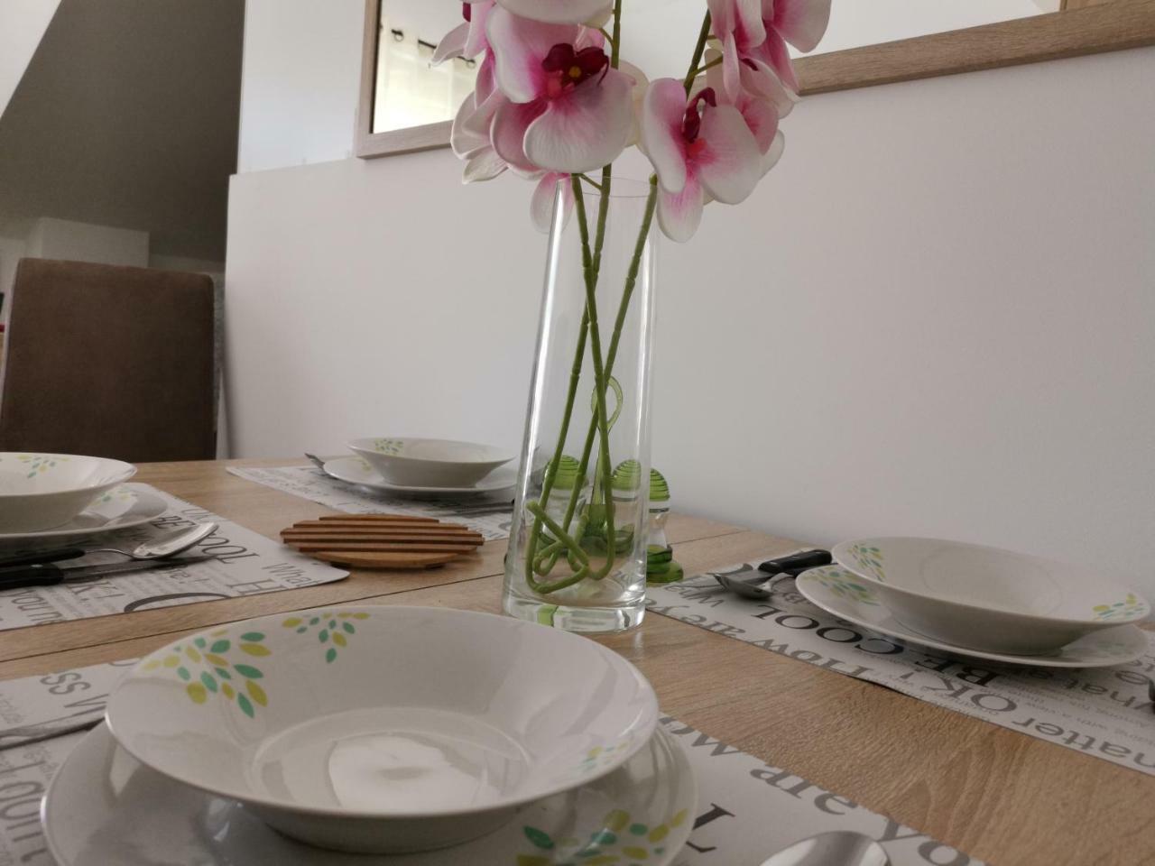 Apartman Maximus 布德瓦 外观 照片